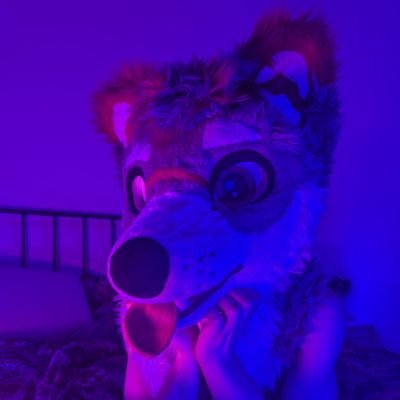 Hi it's Milo 🥹 Femboy and Murrsuit content creator 🐺🐾💅 Open for collabs 👉👈 Lewd! Only for +18 🔞
Trippy boy, likes my Acid 🫠😵💫🤤🥴