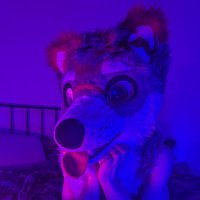 Milo_AD ๐๐พ ๐ Awoostrie and EF (@milo_is_horny) 's Twitter Profile