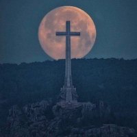 Super Mega Ultra Extrema Derecha (@rooiboos69) 's Twitter Profile Photo