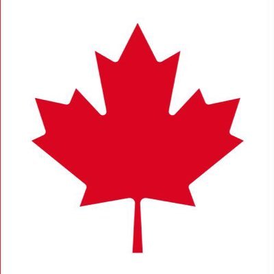 Proud Canadian. Left leaning. I don’t suffer fools or constant lying. Life long Leaf fan. A bit sarcastic at times. #nevervotepierre