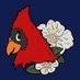Mountain State Furries (@mtnstatefurries) Twitter profile photo Mountain State Furries (@mtnstatefurries) Twitter profile photo
