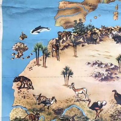 J1 - J-FGC11 -J-FGC7 - J-ZS4753-J-ZS4756
عربي معقلي
Moroccan Arab 🇲🇦👈🏽 ض
Researcher in Arab history 📜🪶⚡and genetic of Maghrebi Arabs 🧬