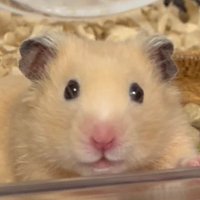 ใทใๅญ๐น (@__xyoowooyx__) 's Twitter Profile Photo ใทใๅญ๐น (@__xyoowooyx__) 's Twitter Profile Photo