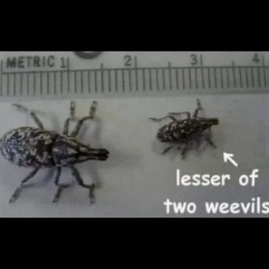 gunstanny's profile picture. 🇵🇸 🇦🇲

r
ㅤㅤㅤㅤㅤㅤㅤㅤㅤㅤㅤㅤㅤㅤㅤㅤㅤㅤㅤㅤㅤㅤㅤㅤㅤㅤㅤㅤㅤㅤㅤㅤㅤㅤㅤㅤㅤㅤㅤㅤㅤㅤㅤㅤㅤㅤㅤㅤㅤㅤjㅤㅤㅤㅤㅤㅤㅤㅤㅤㅤㅤㅤㅤㅤㅤㅤㅤㅤㅤㅤㅤㅤㅤ