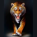 Lunev2012's profile picture. 