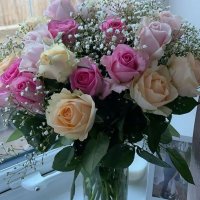 Veronicarose (@veronicaro55836) 's Twitter Profile