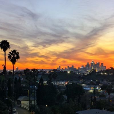 maidukiya12's profile picture. 🇳🇪🇧🇫🌲🍑🌍🌎🌏