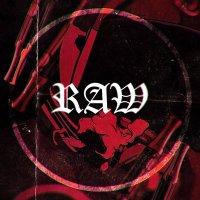 Raw❷ (@rawdesusub) 's Twitter Profile