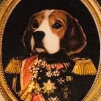 David the beagle 🐶🐾🦴 (@hrhdavidfox) 's Twitter Profile