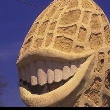 nathan45rwe's profile picture. 