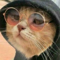 Donutboy (@donutboy2424241) 's Twitter Profile