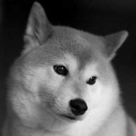 こーしんさんのプロフィール画像