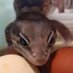 ãããããã«ãããµ (@uchinokokawaii3) Twitter profile photo ãããããã«ãããµ (@uchinokokawaii3) Twitter profile photo