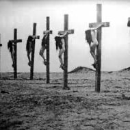 Silly_Elsa's profile picture. 