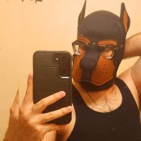 Bloodhound Zagreus (@imthegodofblood) 's Twitter Profile Photo Bloodhound Zagreus (@imthegodofblood) 's Twitter Profile Photo