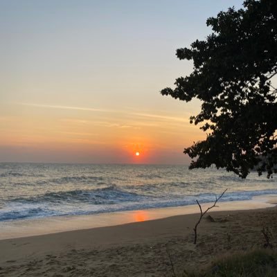 zhbeem's profile picture. 