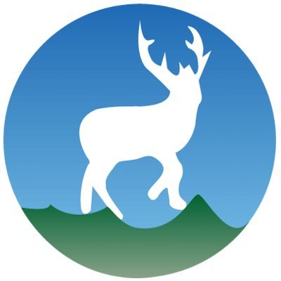 deerwalkpokhara's profile picture. 