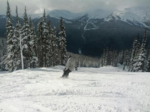 480OlDirtyGeno's profile picture. What is so special about this Twitting thing?!?