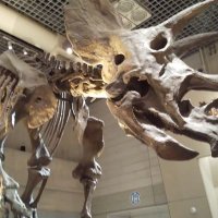 いわ (@iwa07kei) 's Twitter Profile Photo