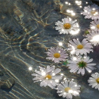 𝒟𝑜𝓃’𝓉 𝒷𝑒 𝓁𝒶𝓏𝓎, 𝒷𝑒 𝒶 𝒹𝒶𝒾𝓈𝓎 🌼 ˖ ݁𖥔 ݁˖🫧💭₊˚ෆ fan acc 9pp | Multifandom currently into เขมจิราต้องรอด 🕯️📿 รอ scarlet heart 💗