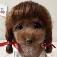 ENMAGUNS (@watachikintendr) 's Twitter Profile Photo ENMAGUNS (@watachikintendr) 's Twitter Profile Photo