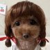 ENMAGUNS (@watachikintendr) Twitter profile photo ENMAGUNS (@watachikintendr) Twitter profile photo