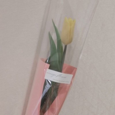 まり。さんのプロフィール画像
