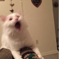 waitttttttt* (@mmatchagt) 's Twitter Profile