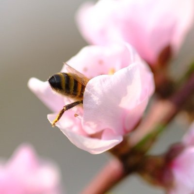 あき/写真好きYouTuber Profile