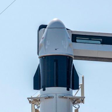 I'm Linda and I'm from Elon Musk management team. This is your exclusive chance to witness an upcoming SpaceX launch in person and meet and greet with Mr.Musk🚀