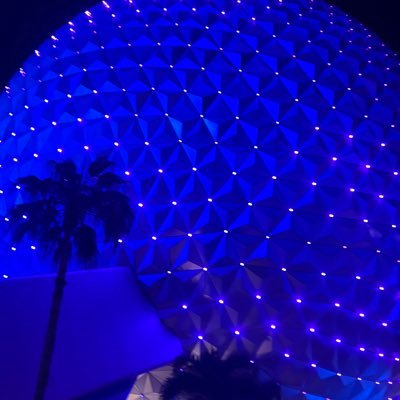 🇺🇸/🇩🇪/🇬🇧/ 🇦🇶/ Amateur Intellectual whose Mission is to Realize the Ideals of Epcot by Force if Necessary.