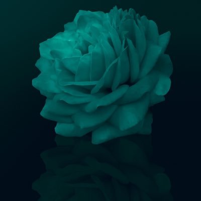 橘さんのプロフィール画像