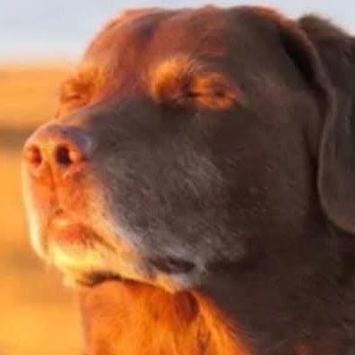 LeAraatra's profile picture. 