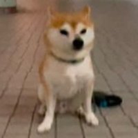 けつげ (@ixalvey) Twitter profile photo