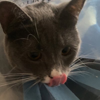 hashhookah21920's profile picture. Full Time E-Gangster. Part Time memecoin Dev/Trader

Official Launches/Alpha Calls 👉 https://t.co/G1ZyH6IprC 👈