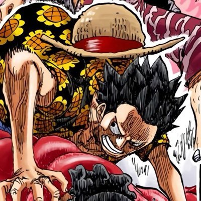 A member of the StrawHats pirates | One Piece Enthusiasts 🏴☠️🤠
