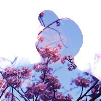 Flexiss (@flexiss_) 's Twitter Profile
