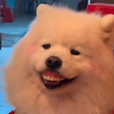 babybhunnybee's profile picture. 