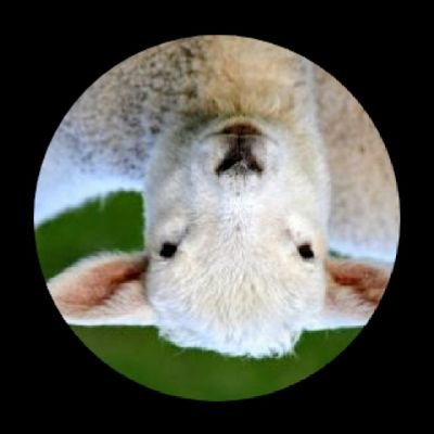 Yeshua is the son of God. Moses talked about him and said he'd come refresh the ten commandments and eating clean no pork no shellfish. And no holidays rn