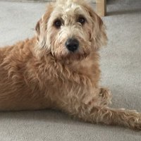 Steve (@stevenk06633052) 's Twitter Profile