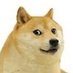 Dogeeeeeee (@dogeeeeeee99999) Twitter profile photo Dogeeeeeee (@dogeeeeeee99999) Twitter profile photo