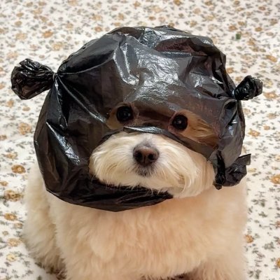 btnzrg's profile picture. design