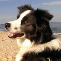 kate (@krowbats) 's Twitter Profile