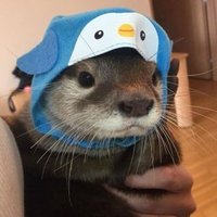 amber (@marydontmind) 's Twitter Profile Photo amber (@marydontmind) 's Twitter Profile Photo
