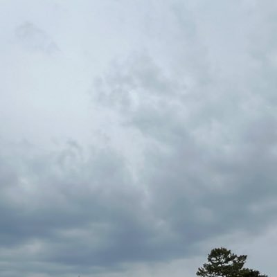 guitar_sukiyan's profile picture. ongaku ga suki.