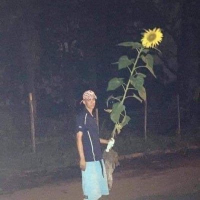 Saolaithenhi68's profile picture. 