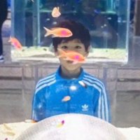 π β. (@lxrbecy) 's Twitter Profile
