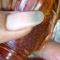 kepo aja (@labangpunya) 's Twitter Profile