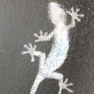 guretarou88's profile picture. 安心安全な日本を壊してるのは誰だ?! 政治にあまり関心がなかった頃の自分を殴りたい。