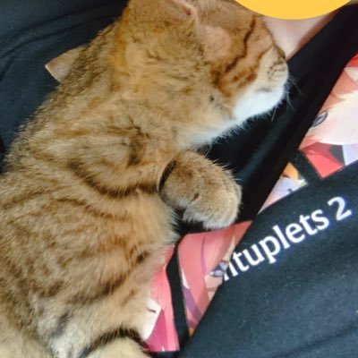 サブのサブ垢